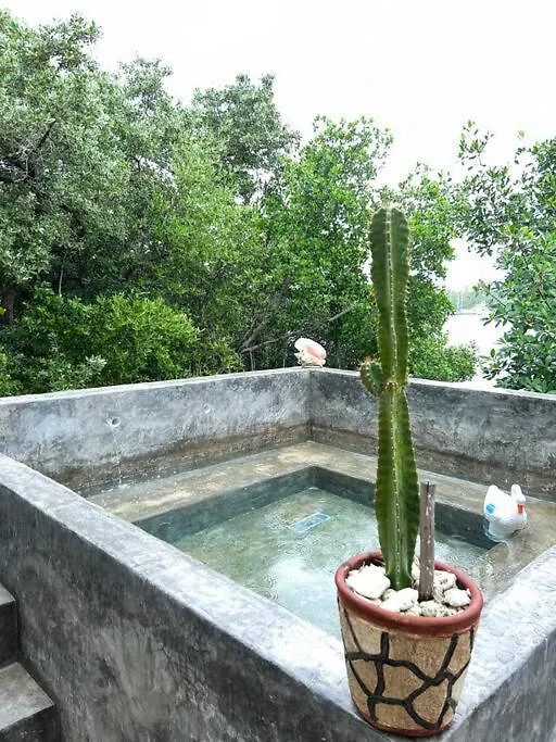 Apt 1-7 Ppl, Starlink, Mini-Pool & Terrace Isla Mujeres 0*,  Mexico