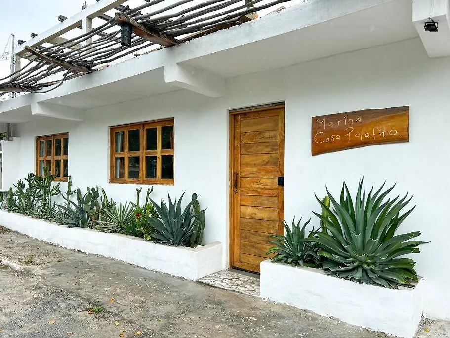 Apartment Apt 1-7 Ppl, Starlink, Mini-Pool & Terrace Isla Mujeres